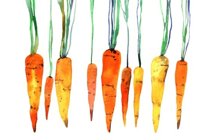 alimentación intuitiva zanahorias