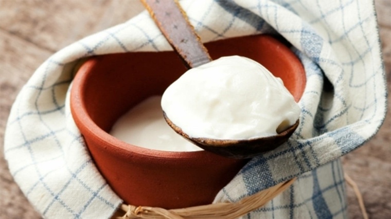 beneficios del yogur-natural-opciones