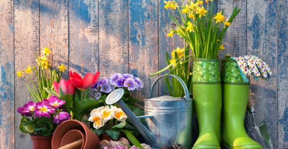 decoración-de jardines nuevas tendncias