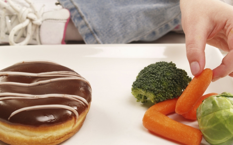 la dieta del metabolismo acelerado pdf gratis experiencia