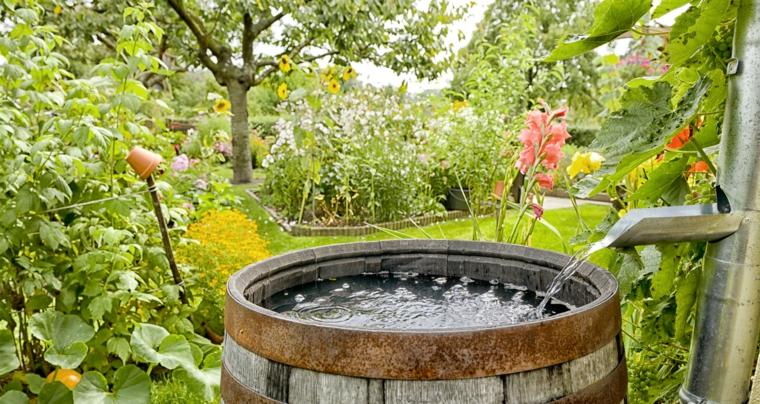 diseño de jardines barril con agua
