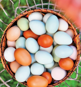 Los huevos son buenos o malos para nuestra salud - Que dicen los últimos estudios