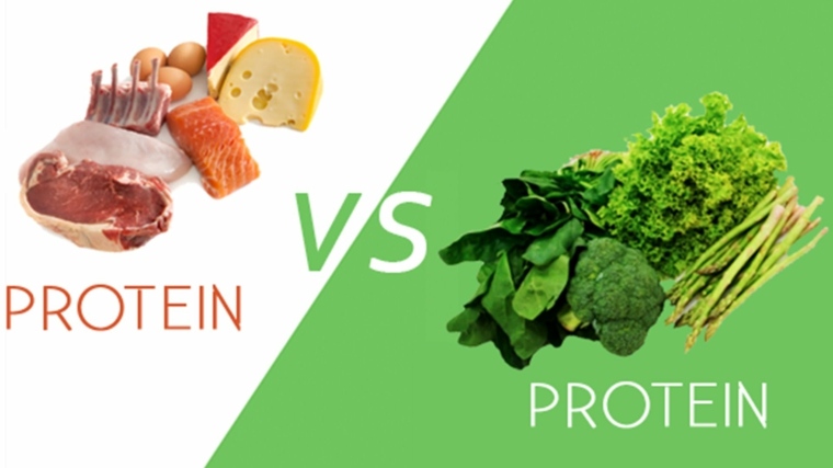 proteínas animales vs vegetales