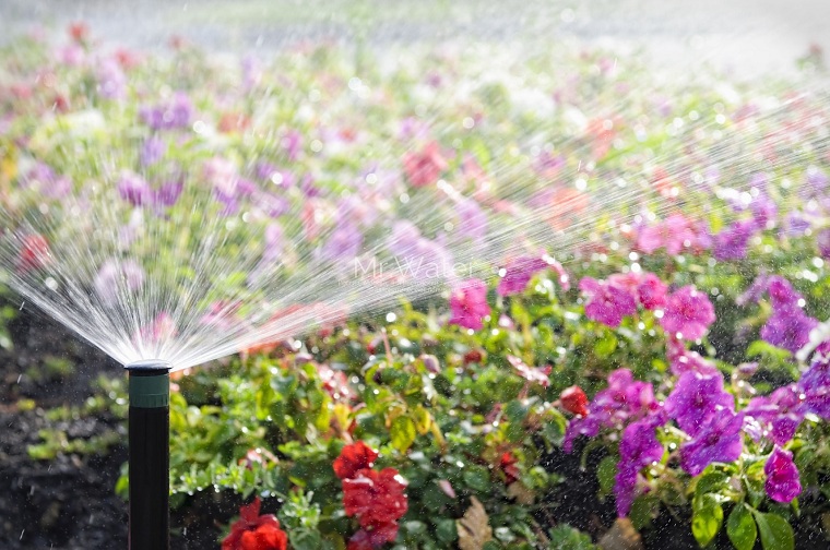 regar-plantas-flores-jardin-consejos