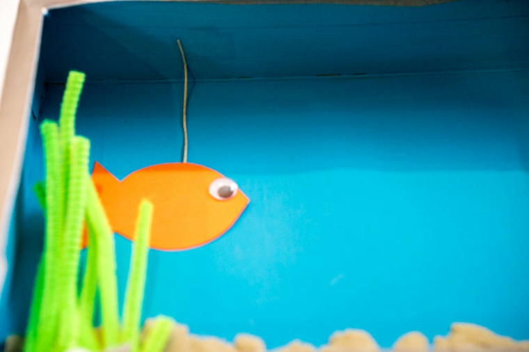 Pez en acuario casero