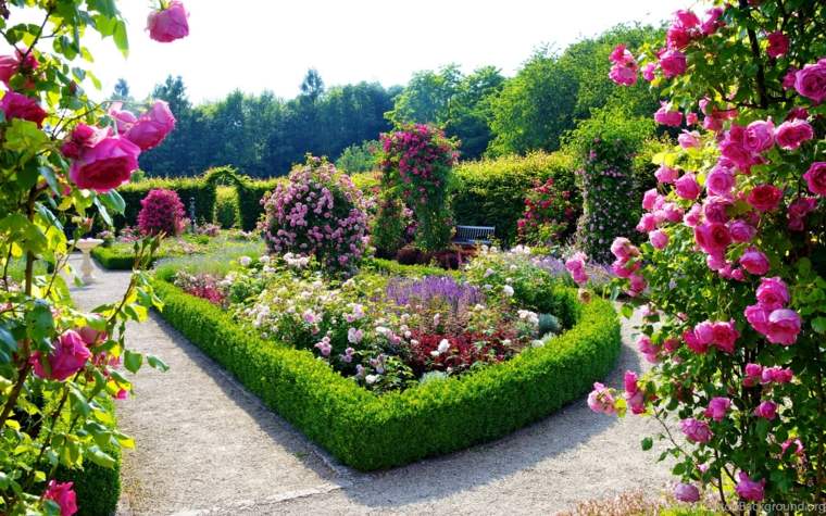 jardin flores