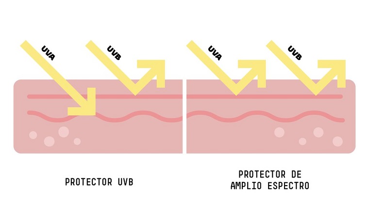 como los rayos uv penetran en la piel
