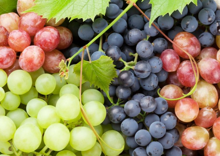variedad de uvas