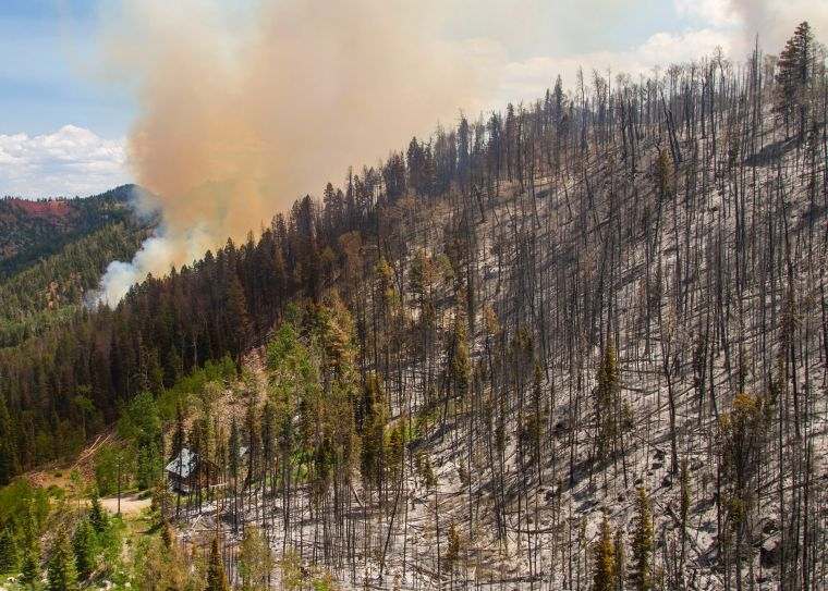 causas de los incendios forestales daño