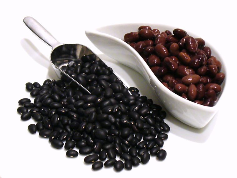 alimentos vegetales ricos en proteínas negro