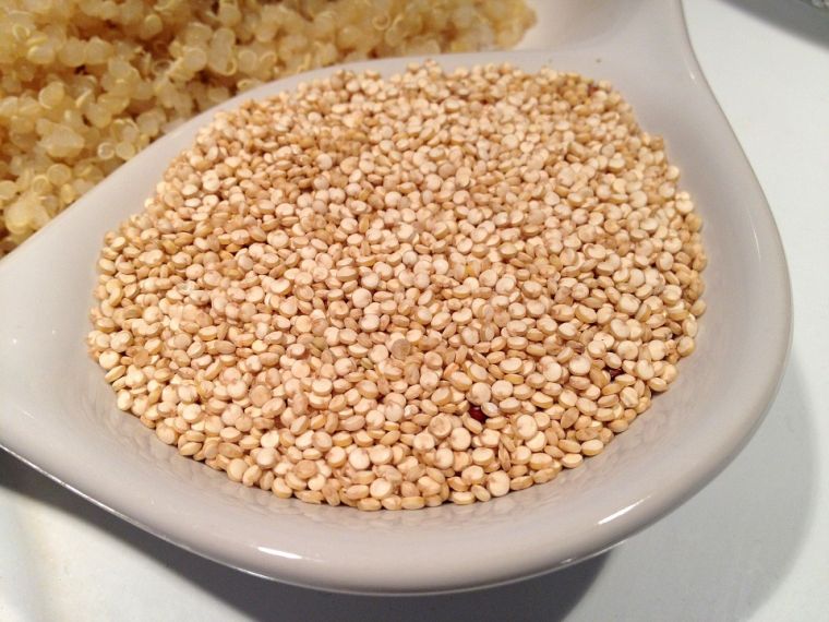 alimentos vegetales ricos en proteínas quinoaa