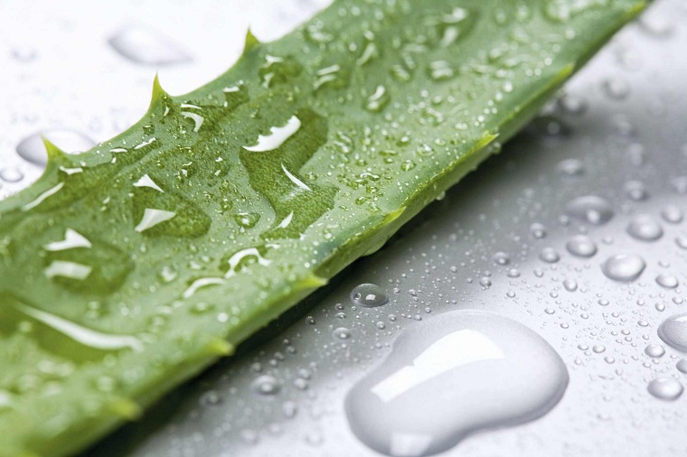 mascarilla-aloe-yema-rostro