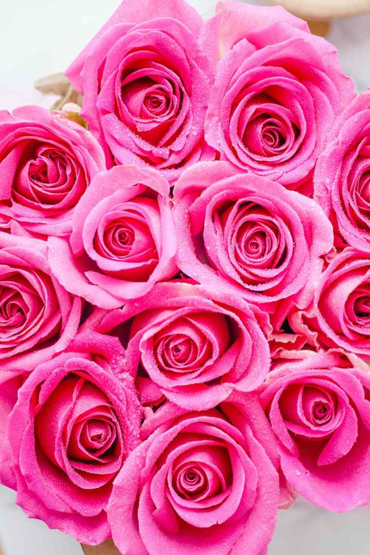 rosas-regalo-san-valentin-ideas