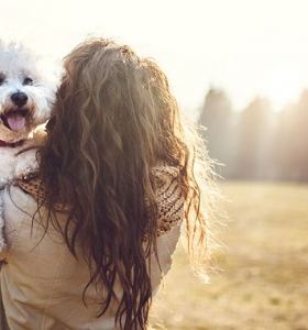 Tener un perro está vinculado con vivir una vida más larga y más saludable