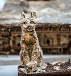 Egipto revela momias animales de cachorros de león cocodrilos gatos