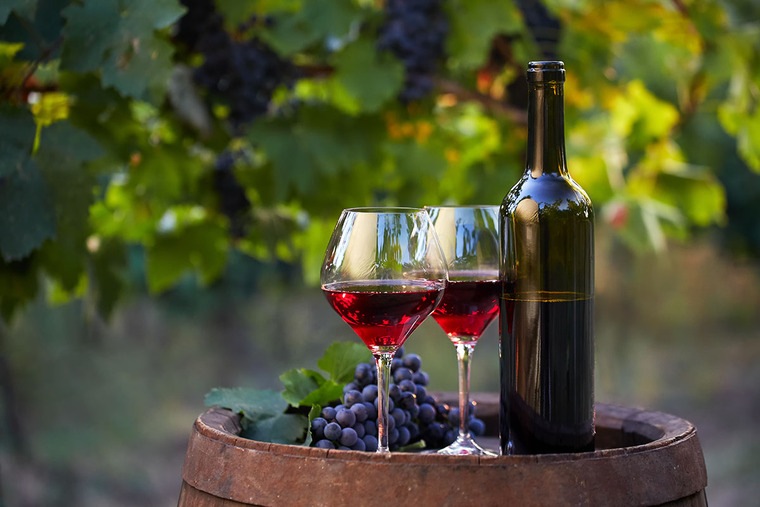 beneficios del vino tinto viñedos
