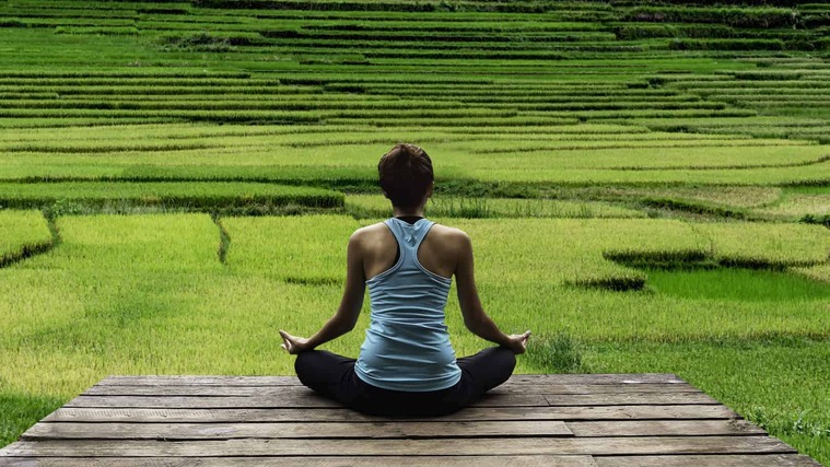 sistema inmunológico meditar
