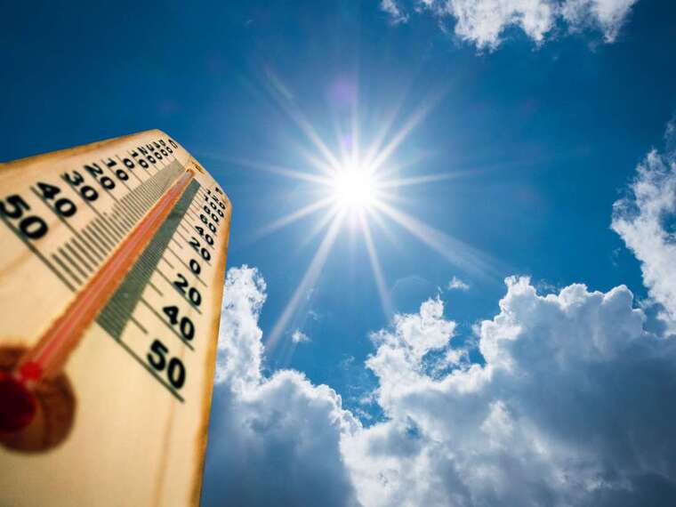 sistema inmunológico temperatura