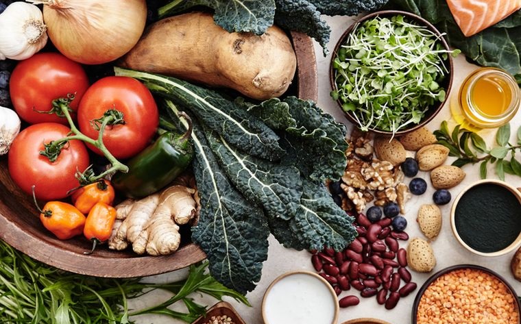 alimentos integrales planta