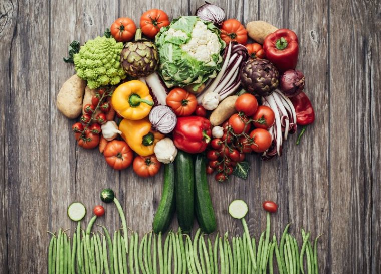 alimentos integrales vida