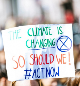 ¿Cambio climático o coronavirus? Que piden los manifestantes liderados por Greta Thunberg