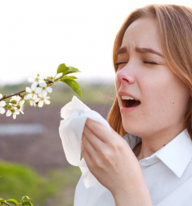 Alergia primaveral – Cómo prevenir o disminuir los síntomas