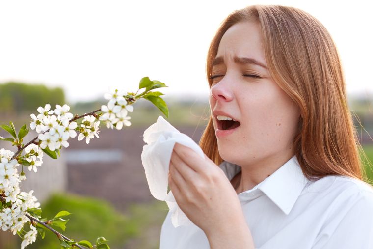 alergia primaveral inicio