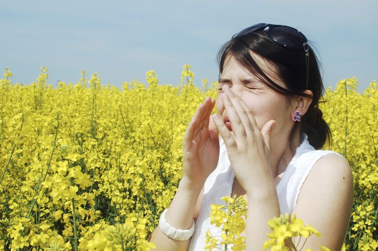 alergia primaveral molestia