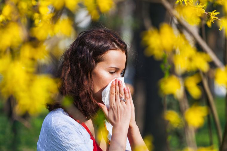 alergia primaveral prevencion