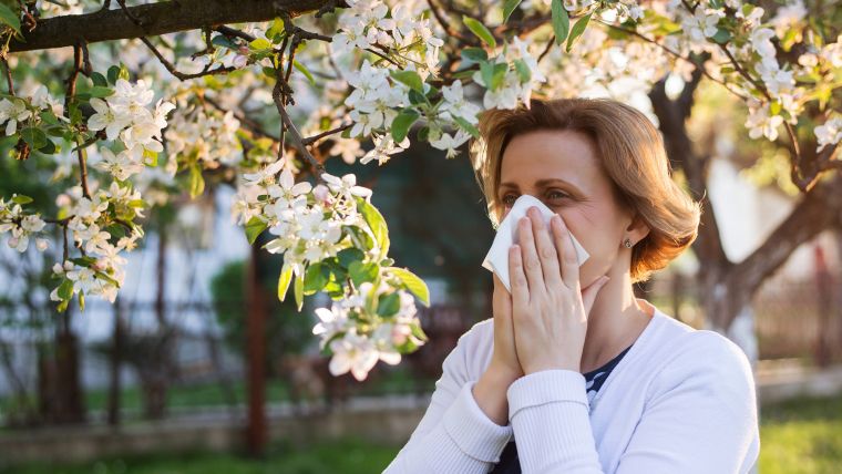 alergia primaveral reacion