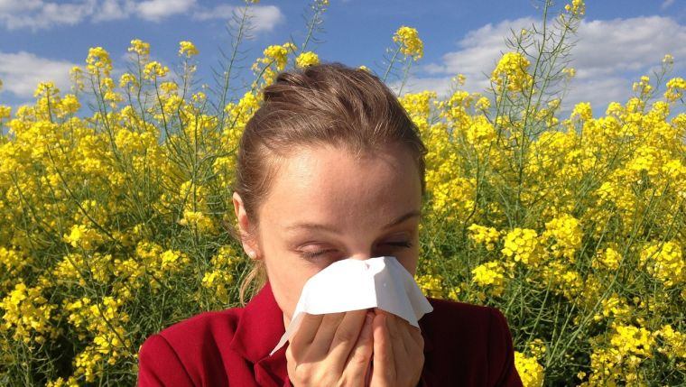 alergia primaveral solucion