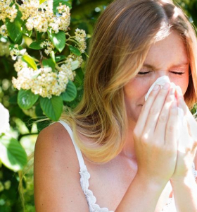 Alergia al polen - ¿Por qué aumenta la alergia al polen sobre todo en países desarrollados?