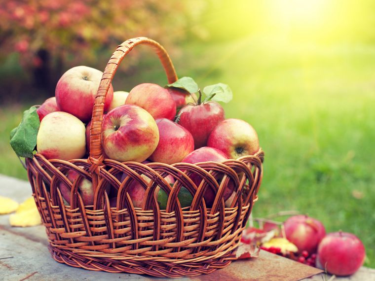 propiedades de la manzana colesterol