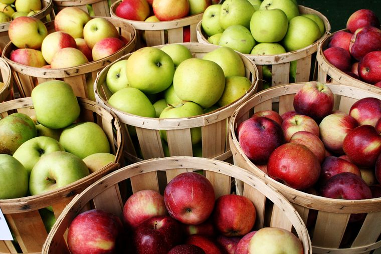 propiedades de la manzana cuerpo