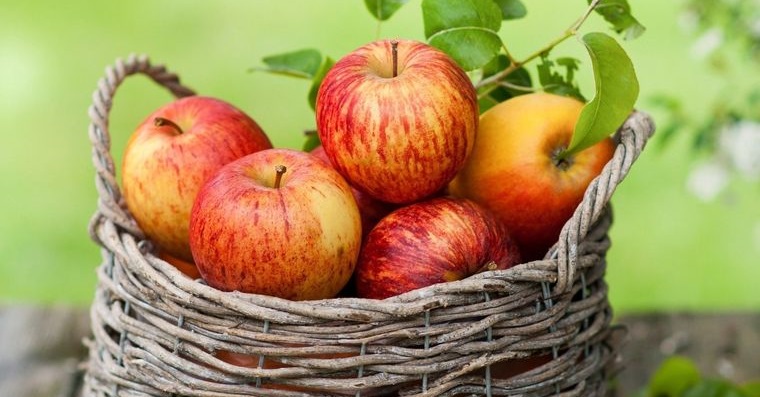 propiedades de la manzana nutriente