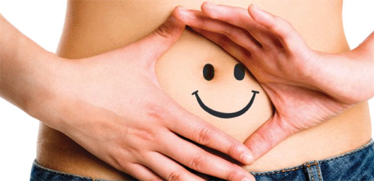 semillas de linaza‌ digestion