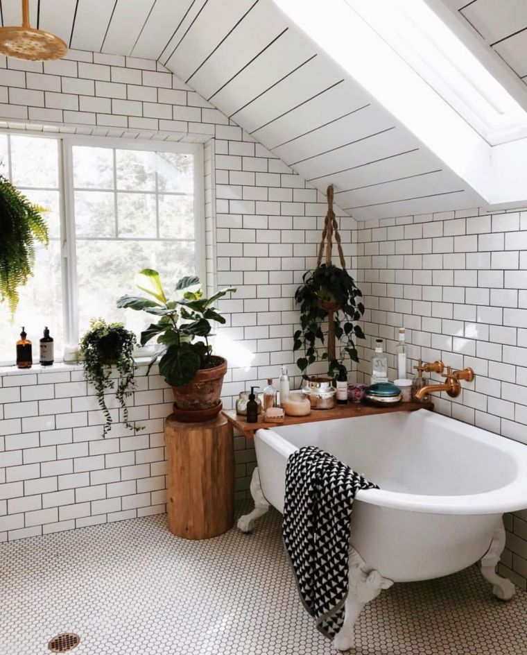 cuarto-bano-plantas-ideas