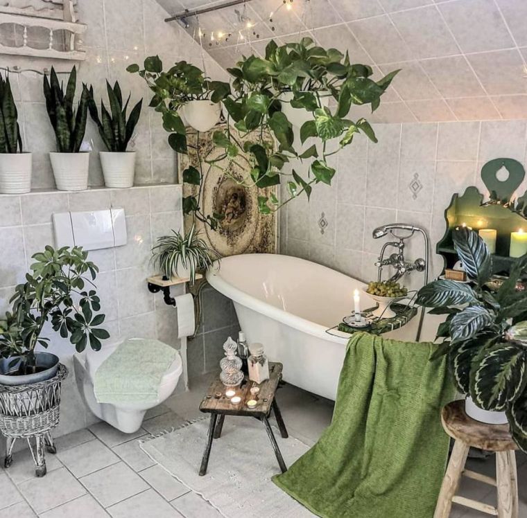 decorar-plantas-bano-opciones