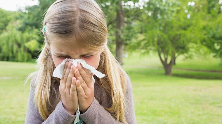 fiebre de heno alergias