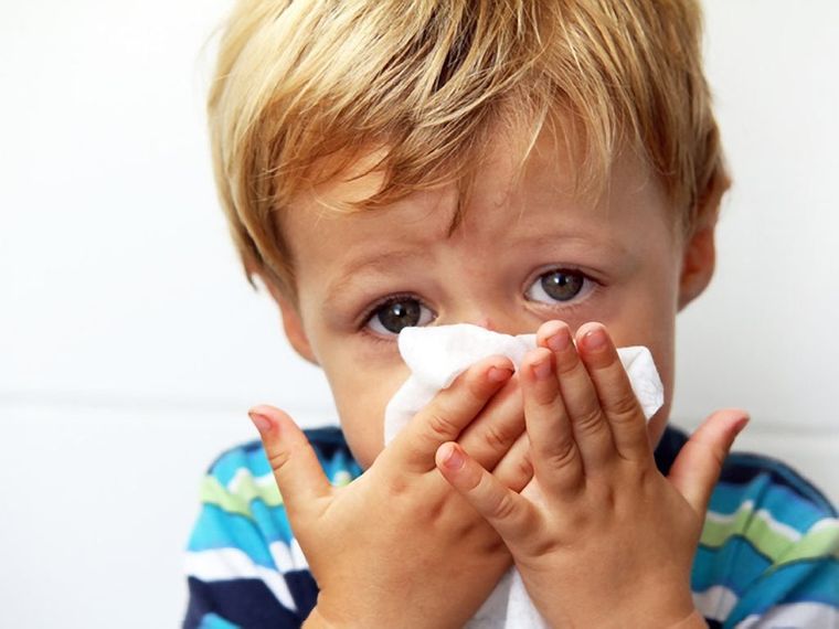 fiebre de heno en infantes