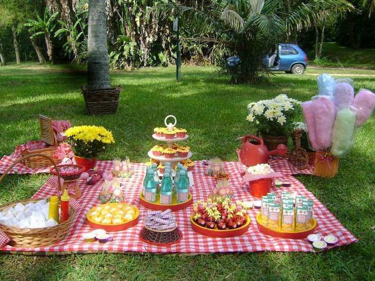 fiesta de cumpleaños picnic