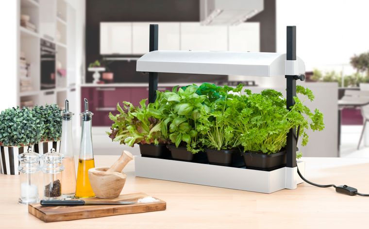 Hierbas aromáticas – Cocinas con pequeños cultivos llenos de aroma y sabor