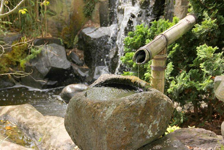 jardín japonés agua