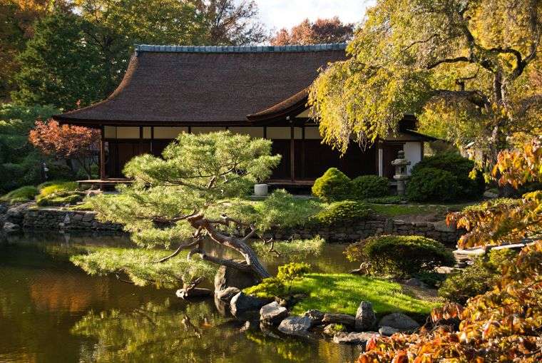 jardín japonés casa te