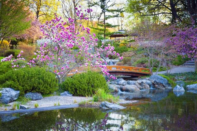 jardín japonés colores