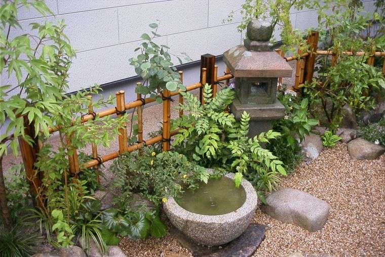 jardín japonés plantas