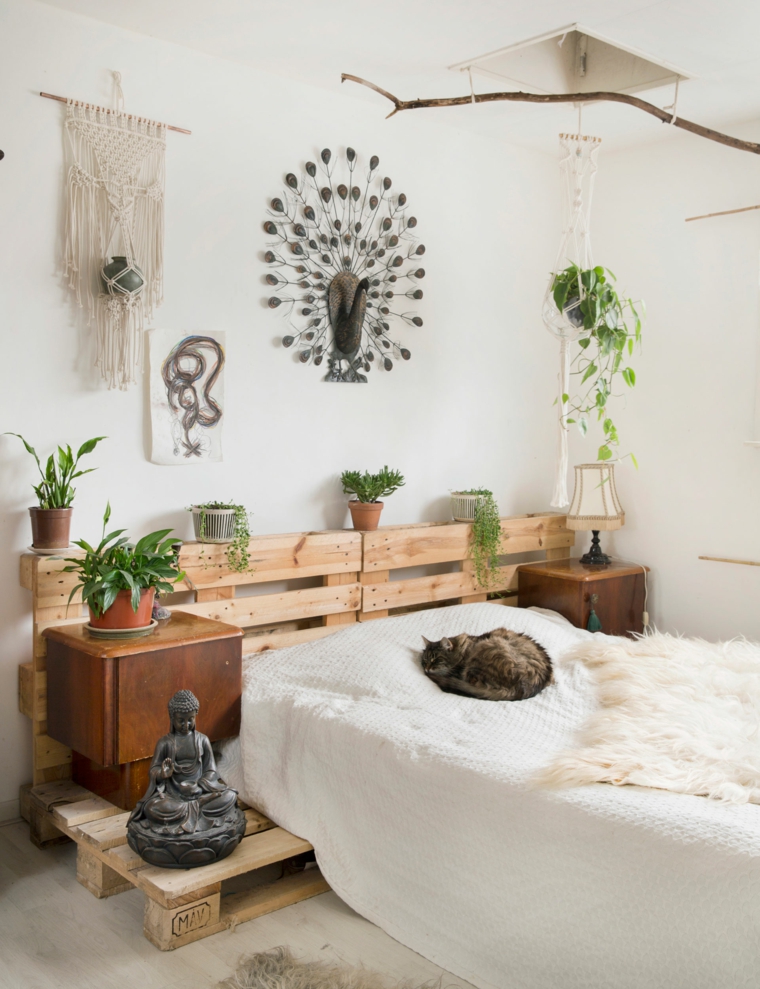 plantas en macetas-opciones-casa