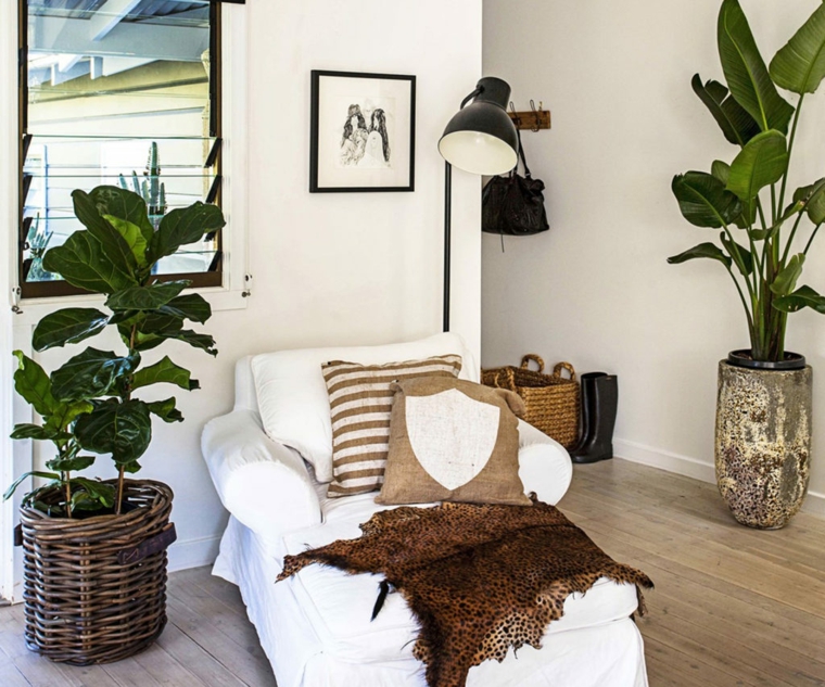 plantas-en-macetas-opciones-ideas