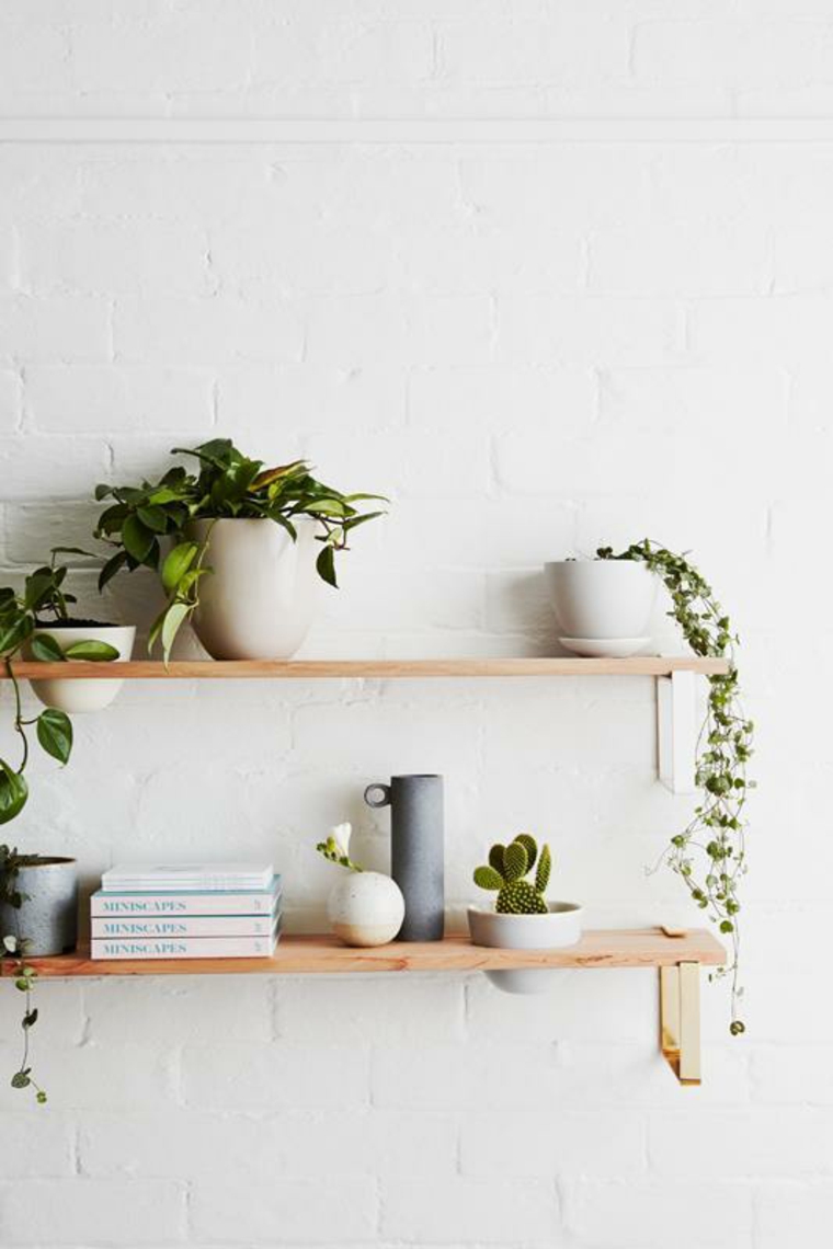 plantas-estantes-opciones-originales
