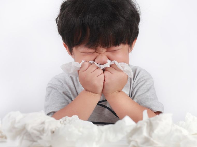 rinitis alérgica congestion nasal
